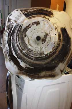 laundry drum damage from detergent
