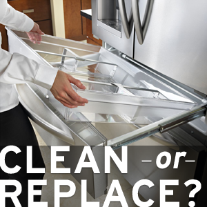 clean-your-refrigerator-or-replace-it