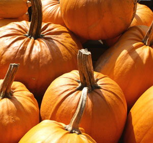 pumpkins