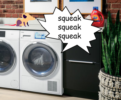 Why Does My Dryer Squeak?| 5 Quick Reasons