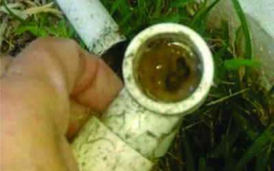 Smart AC Drain Line Solution for Drain Line Problems